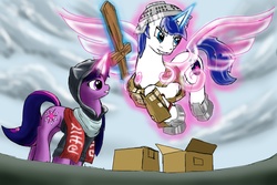 Size: 2500x1667 | Tagged: safe, artist:doomsp0rk, shining armor, twilight sparkle, pony, unicorn, g4, artificial wings, augmented, cardboard box, clothes, colander, hoodie, levitation, magic, magic wings, scarf, telekinesis, unicorn twilight, wings, wooden sword