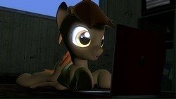 Size: 1366x768 | Tagged: safe, artist:legoguy9875, button mash, earth pony, pony, g4, 3d, blank flank, colt, computer, foal, gmod, hat, hooves, male, prone, propeller hat, solo