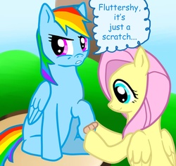 Size: 849x801 | Tagged: safe, artist:verypen, fluttershy, rainbow dash, g4, bandaid, duo