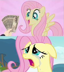 Size: 855x957 | Tagged: safe, fluttershy, g4, crying, female, fistful of yen, japanese yen, money, regret, solo