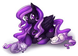 Size: 650x468 | Tagged: safe, artist:shinepawpony, oc, oc only, oc:berrybell, cat, solo