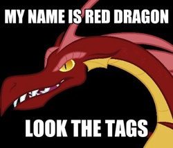 Size: 425x364 | Tagged: safe, basil, dragon, g4, exploitable meme, grammar error, image macro, male, meme, red dragon, solo, tags