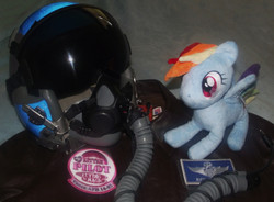 Size: 1024x754 | Tagged: safe, rainbow dash, pony, g4, bootleg, irl, my little pilot, photo, plushie, vance afb 14-05