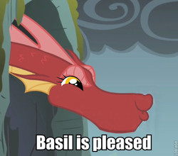 Size: 600x529 | Tagged: safe, basil, dragon, g4, awesome, dashface, image macro, male, meme, solo