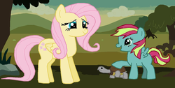 Size: 1205x607 | Tagged: safe, artist:majkashinoda626, fluttershy, oc, turtle, g4