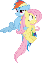 Size: 3054x4526 | Tagged: dead source, safe, artist:waranto, fluttershy, rainbow dash, pony, g4, duo, high res, simple background, transparent background, vector