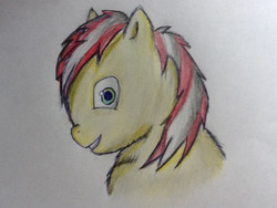 Size: 755x569 | Tagged: safe, artist:waggytail, fluffy pony, avatar, fluffybooru, solo