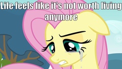 Size: 1280x720 | Tagged: safe, fluttershy, g4, crying, depressed, female, image macro, life, solo