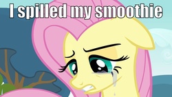 Size: 1280x720 | Tagged: safe, fluttershy, g4, crying, female, first world problems, image macro, smoothie, solo