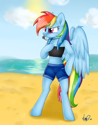 Size: 2200x2800 | Tagged: safe, artist:shyshyoctavia, rainbow dash, pegasus, pony, semi-anthro, g4, beach, bipedal, clothes, female, mare, sand, shorts, signature, solo, whistle