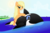 Size: 5550x3700 | Tagged: safe, artist:galekz, applejack, earth pony, orca, pony, g4, absurd resolution, beach, bedroom eyes, black and white inflatable whale, black inflatable whale, female, inflatable, inflatable whale, loose hair, mare, ocean, pool toy, riding, solo, wanna ride?, wet mane