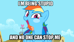 Size: 1920x1080 | Tagged: safe, edit, edited screencap, screencap, rainbow dash, a bird in the hoof, g4, season 1, female, i'm being adorable and no one can stop me!, image macro, meme, rainbow derp, rainbow dumb, solo, stupid, stupidity