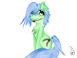 Size: 1000x750 | Tagged: safe, artist:silverwindpegasus, oc, oc only, earth pony, pony, female, mare, solo