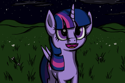 Size: 1024x683 | Tagged: safe, artist:ogihb, twilight sparkle, alicorn, pony, g4, female, mare, night, solo, twilight sparkle (alicorn)