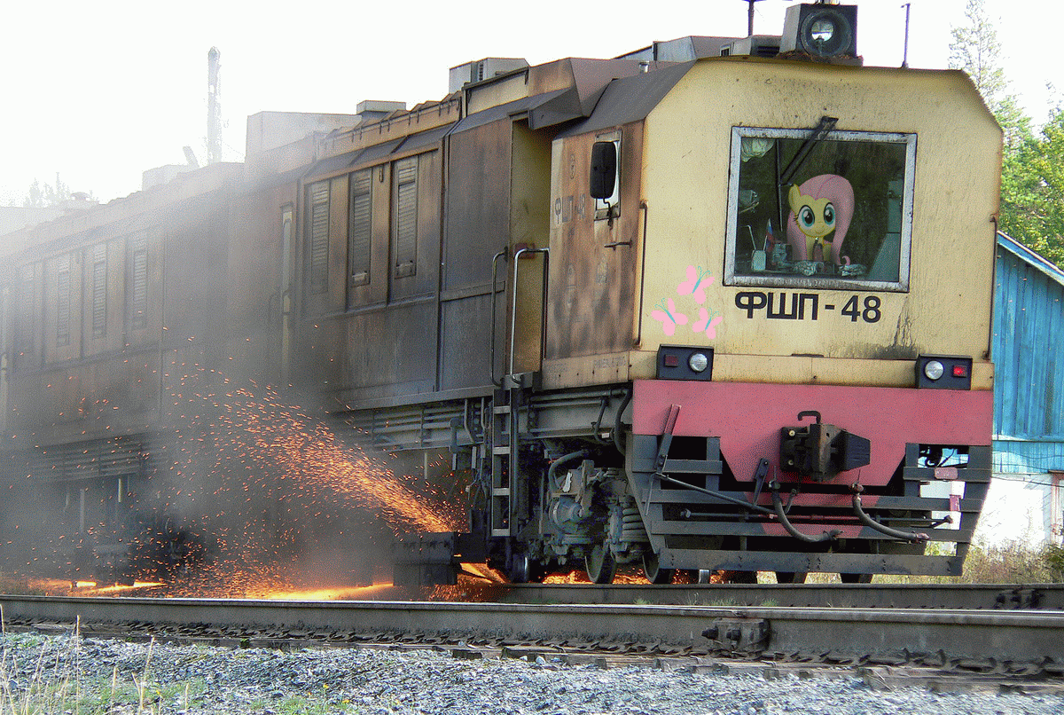 402663 - safe, fluttershy, pony, g4, cutie mark, gif, non-animated gif,  photo, photoshop, rail grinder, railroad, russia, solo, sparks, train -  Derpibooru