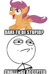 Size: 720x1080 | Tagged: safe, scootaloo, g4, challenge accepted, dare to be stupid, stupid, stupidity, weird al yankovic
