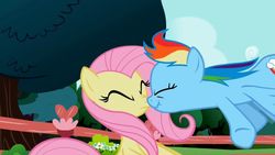 Size: 768x432 | Tagged: safe, screencap, fluttershy, rainbow dash, pony, g4, may the best pet win, my little pony: friendship is magic, boop, female, noseboop, out of context, scrunchy face, shipping fuel