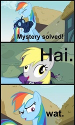 Size: 709x1180 | Tagged: safe, derpy hooves, mare do well, rainbow dash, pegasus, pony, g4, derp, female, mare, unmasked, wat