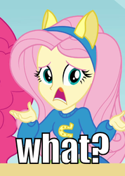 Size: 414x583 | Tagged: safe, fluttershy, equestria girls, g4, image macro, inverted mouth, wat