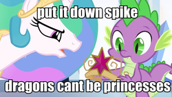 Size: 749x423 | Tagged: safe, edit, edited screencap, screencap, princess celestia, spike, alicorn, dragon, pony, equestria girls, g4, my little pony equestria girls, fake crown, female, image macro, male, mare