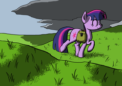 Size: 1024x724 | Tagged: safe, artist:ogihb, twilight sparkle, g4, female, solo