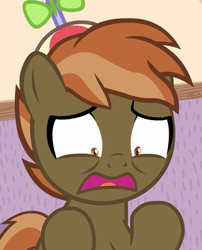 Size: 601x743 | Tagged: safe, button mash, earth pony, pony, button's adventures, g4, colt, foal, hat, hooves, male, open mouth, propeller hat, reaction image, solo