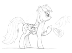 Size: 960x704 | Tagged: safe, artist:sean mirrsen, rainbow dash, g4, female, monochrome, sketch, solo