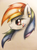 Size: 966x1316 | Tagged: safe, artist:golden-fly, rainbow dash, g4, female, solo