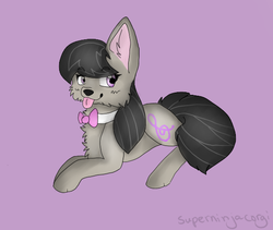 Size: 586x495 | Tagged: safe, artist:superninjacorgi, octavia melody, dog, g4, dogified, female, solo, species swap