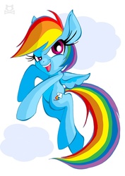 Size: 709x1000 | Tagged: safe, artist:lillykitten, rainbow dash, g4, female, solo