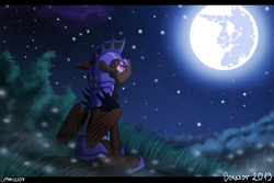 Size: 1500x1000 | Tagged: safe, artist:bonaxor, oc, oc only, mare in the moon, moon, night guard, solo