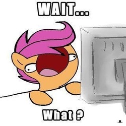 Size: 320x320 | Tagged: safe, scootaloo, g4, computer, female, reaction image, solo, sweetie derelle, wat