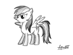 Size: 1024x768 | Tagged: safe, artist:ap0st0l, rainbow dash, g4, female, monochrome, solo