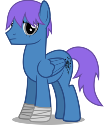 Size: 1024x1232 | Tagged: safe, artist:austiniousi, oc, oc only, pegasus, pony, simple background, solo, transparent background, vector