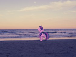 Size: 2560x1920 | Tagged: safe, artist:colorfulbrony, twilight sparkle, g4, beach, irl, moon, ocean, photo, ponies in real life, vector