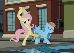 Size: 558x407 | Tagged: safe, fluttershy, rainbow dash, g4, clothes, futurama, male, new new york, pants