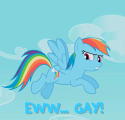 Size: 749x718 | Tagged: safe, rainbow dash, pegasus, pony, g4, ew gay, female, image macro, solo