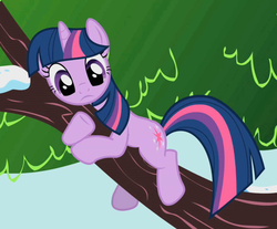 Size: 650x538 | Tagged: safe, screencap, twilight sparkle, pony, unicorn, g4, winter wrap up, behaving like a cat, cropped, female, looking down, mare, solo, tree, twilight cat, unicorn twilight