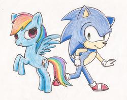 Size: 2009x1581 | Tagged: safe, artist:ilsepurplethecat, rainbow dash, pony, g4, crossover, male, sonic the hedgehog, sonic the hedgehog (series), traditional art