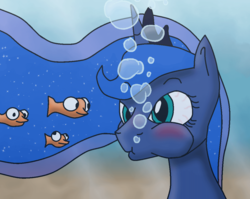 Size: 1095x873 | Tagged: safe, artist:jakethespy, princess luna, fish, bubble, colors:crowley, female, puffy cheeks, solo, underwater
