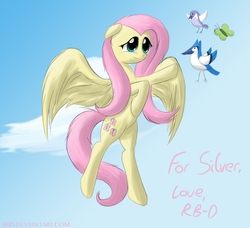 Size: 1391x1269 | Tagged: safe, artist:rb-d, fluttershy, bird, g4, female, solo