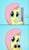 Size: 322x546 | Tagged: safe, artist:doublewbrothers, fluttershy, pegasus, pony, g4, comic, cropped, delet this, double barreled shotgun, female, gun, mare, meme, reaction image, shotgun, simple background, solo, the fourth wall cannot save you, weapon