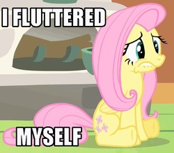 Size: 559x490 | Tagged: safe, fluttershy, g4, female, image macro, solo