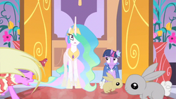 Size: 853x480 | Tagged: safe, screencap, princess celestia, twilight sparkle, alicorn, pony, rabbit, g4, the best night ever, female, mare