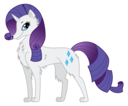 Size: 979x816 | Tagged: safe, artist:aradia makara, artist:pikamander2, rarity, wolf, g4, concave belly, female, simple background, slender, smiling, solo, species swap, thin, transparent background, vector