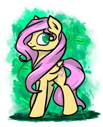 Size: 850x1050 | Tagged: safe, artist:cuprumrus, fluttershy, pegasus, pony, g4, female, solo