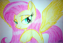 Size: 1024x692 | Tagged: safe, artist:bludraconoid, fluttershy, g4, bedroom eyes, female, solo, traditional art
