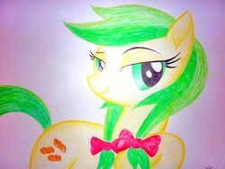 Size: 1024x768 | Tagged: safe, artist:bludraconoid, apple fritter, g4, apple family member, female, solo, traditional art