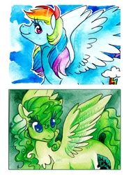 Size: 1200x1600 | Tagged: safe, artist:aspendragon, rainbow dash, oc, oc:azami rose, g4, traditional art