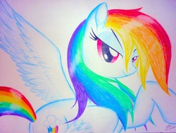 Size: 1024x768 | Tagged: safe, artist:bludraconoid, rainbow dash, g4, female, solo, traditional art